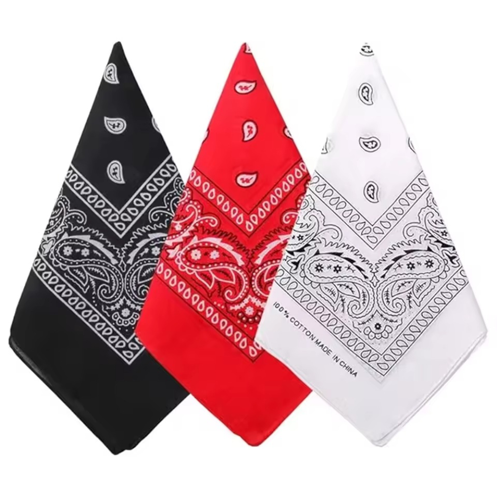 Hip Hop Cowboy Paisley Scarf L - مراجعة Ascot Neck Scarf وسعره