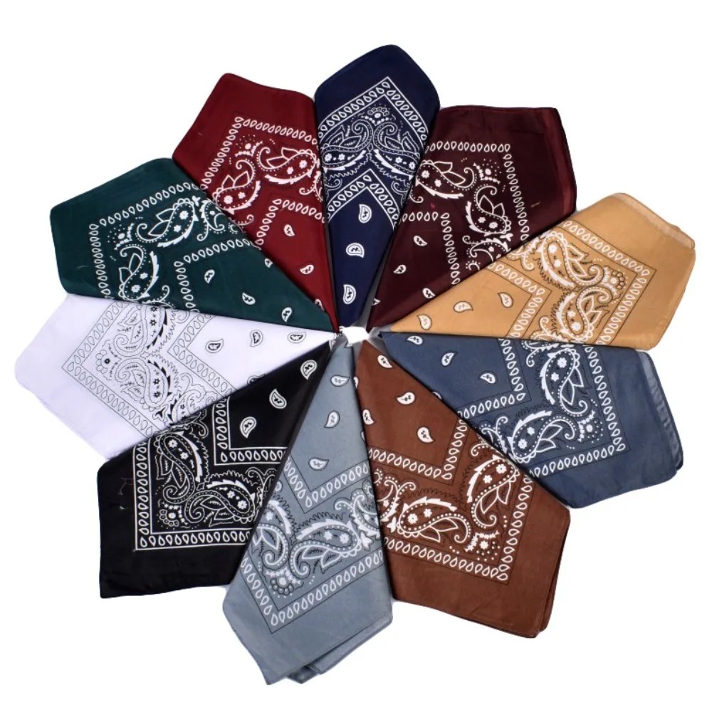 Hip Hop Cowboy Paisley Scarf L - مراجعة Ascot Neck Scarf وسعره